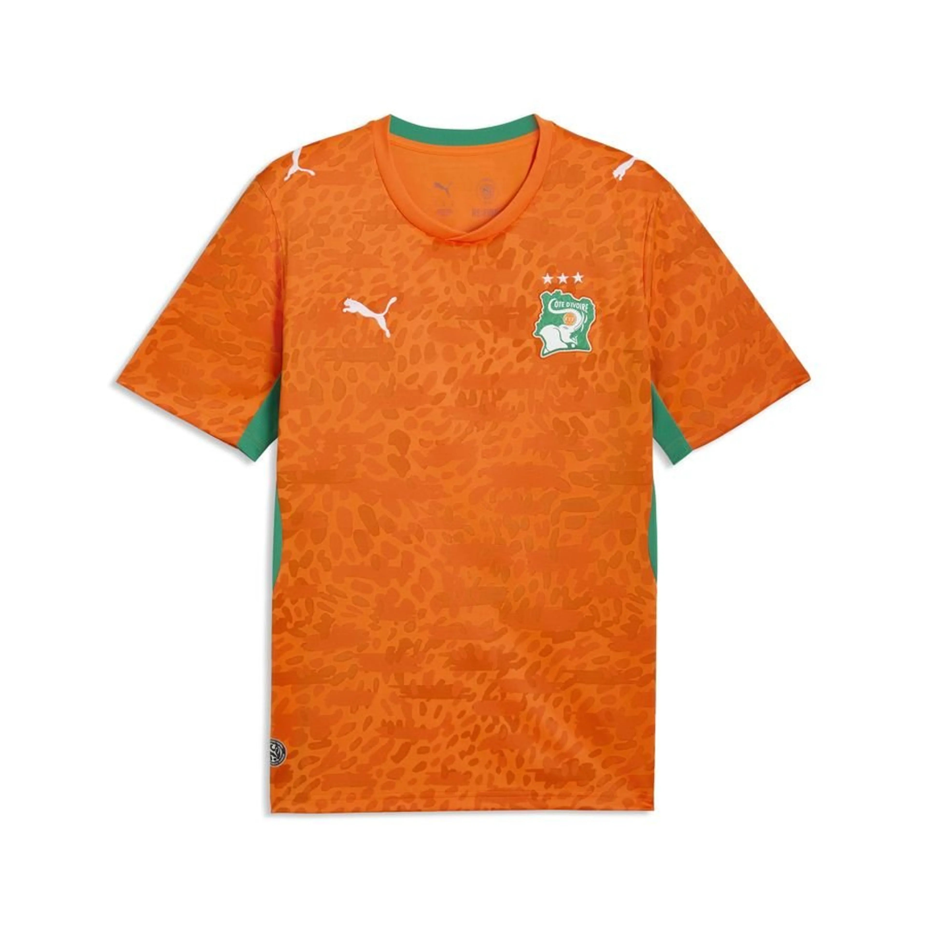 Ivory Coast 2026 World Cup Jersey